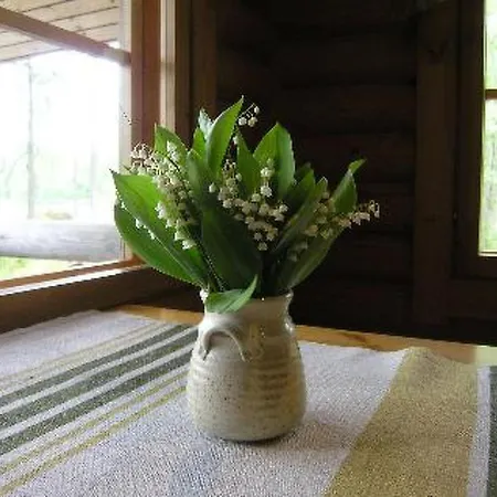 Feriehus Moekinniemi By Interhome *