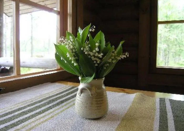 度假居 Moekinniemi By Interhome *